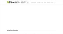 Desktop Screenshot of binarysolutions.biz